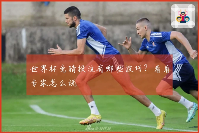 世界杯竞猜投注有哪些技巧？看看专家怎么说