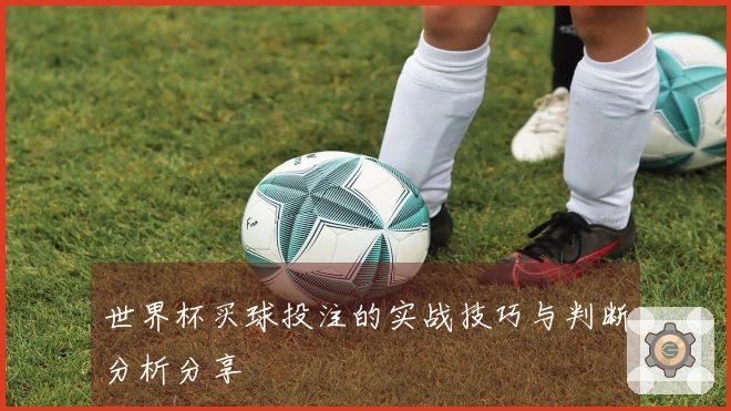 世界杯买球投注的实战技巧与判断分析分享