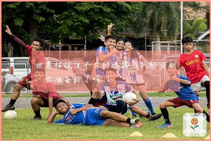 世界杯投注平台的选择与风险分析，你准备好了吗_1