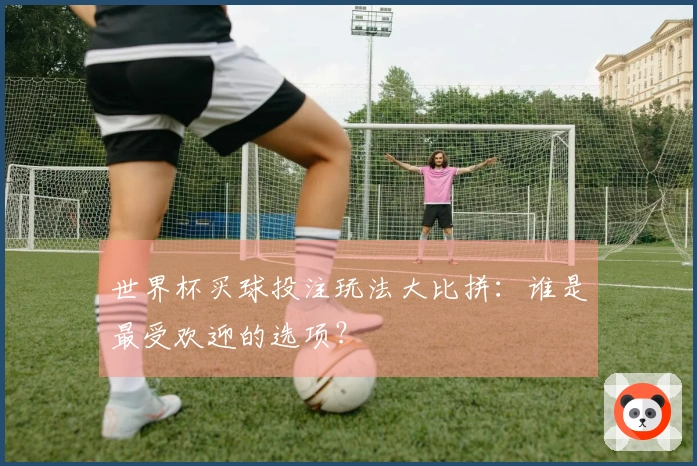 世界杯买球投注玩法大比拼：谁是最受欢迎的选项？
