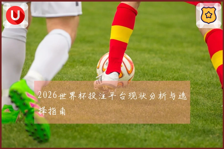 2026世界杯投注平台现状分析与选择指南