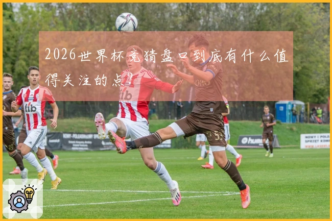 2026世界杯竞猜盘口到底有什么值得关注的点？