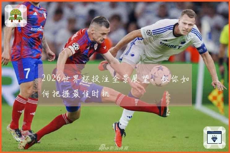 2026世界杯投注全景展望，教你如何把握最佳时机