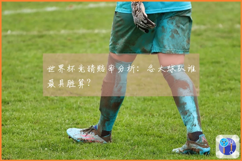 世界杯竞猜赔率分析：各大球队谁最具胜算？