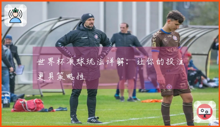 世界杯滚球玩法详解：让你的投注更具策略性