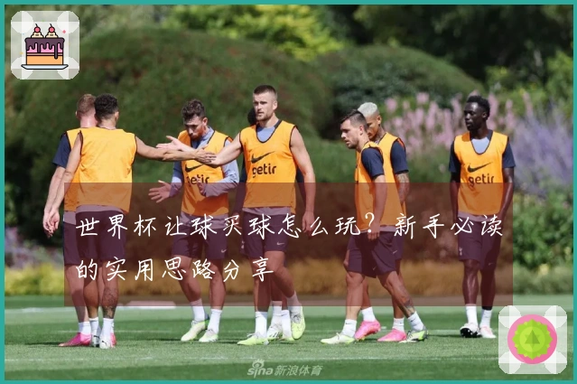 世界杯让球买球怎么玩？新手必读的实用思路分享