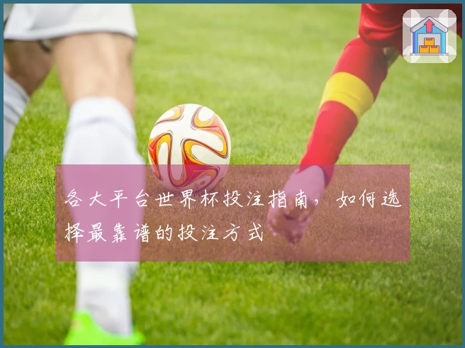 各大平台世界杯投注指南，如何选择最靠谱的投注方式